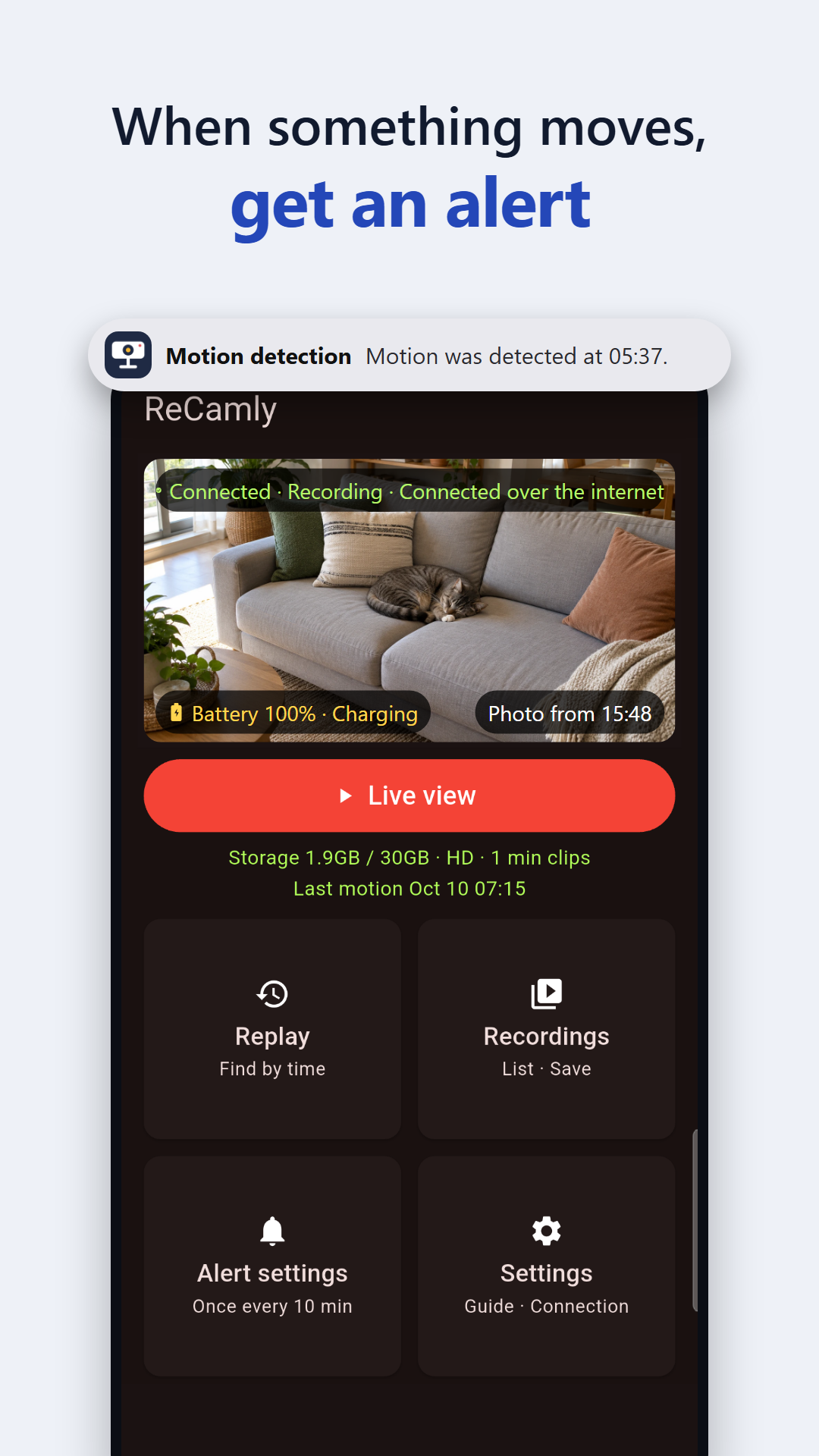 Motion alerts